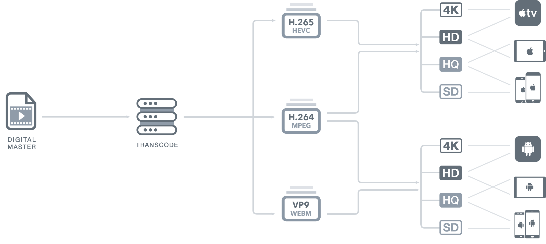 h.265 h.664 VP9 automatic video transcoding